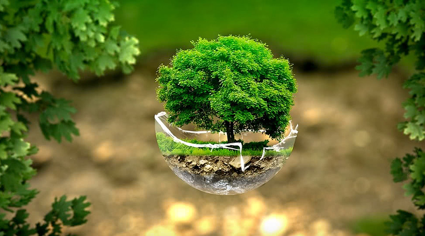 Sostenibilità | Sustainability